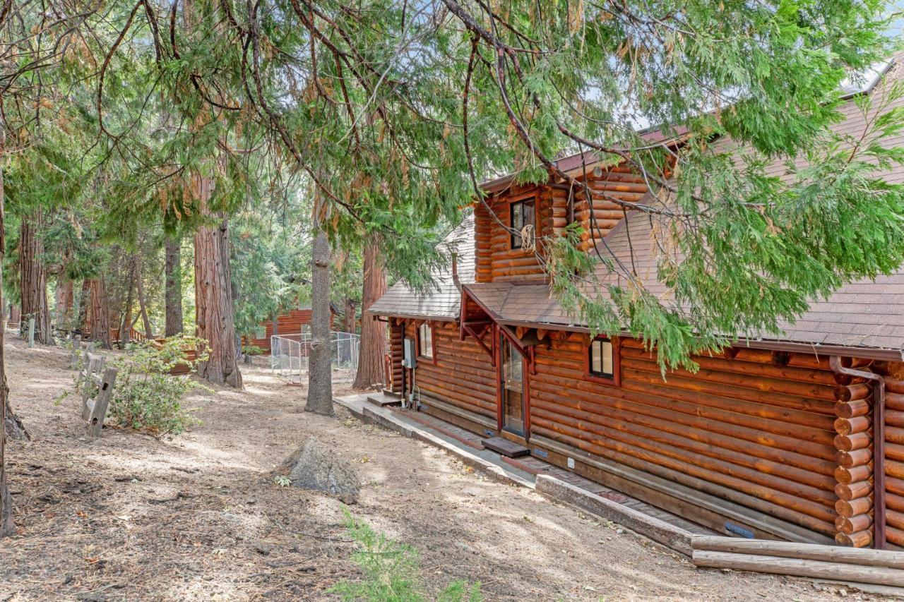 Pine Cone Haven Villa Idyllwild Eksteriør bilde